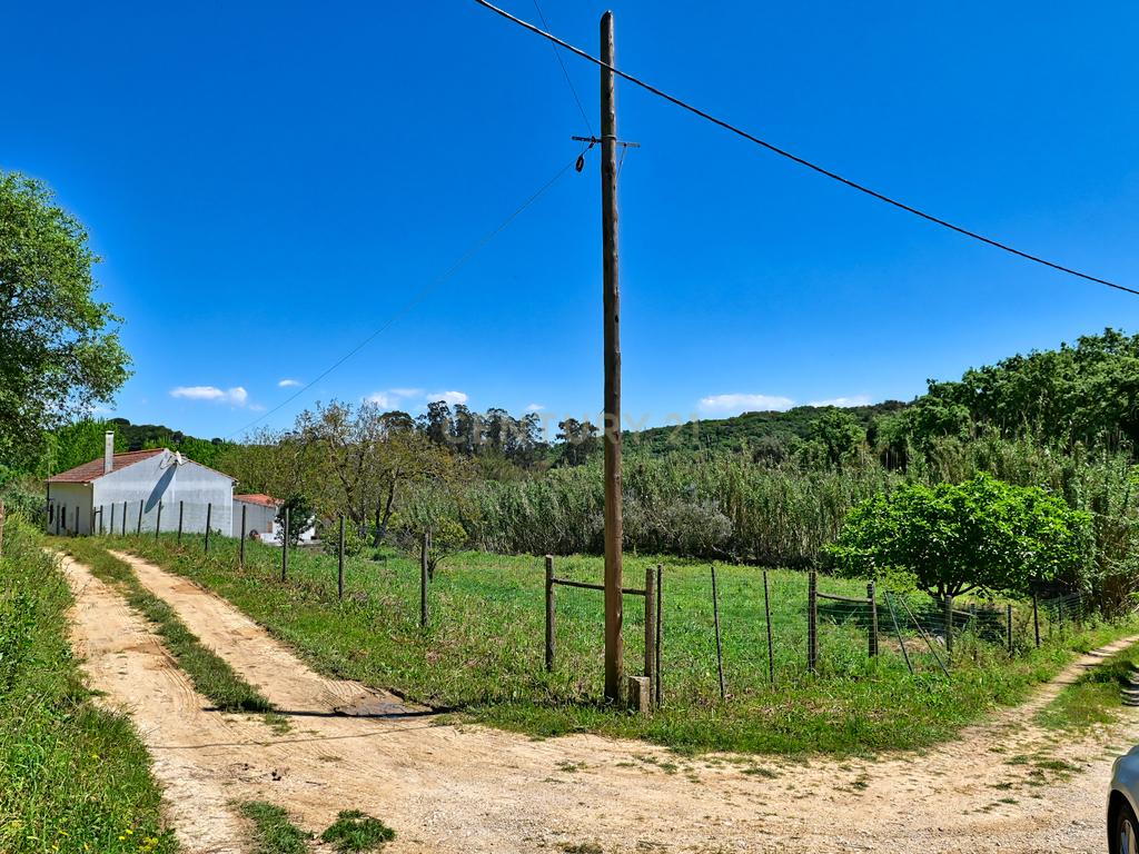 Bela Casa de Campo em Santarém  - Image 28