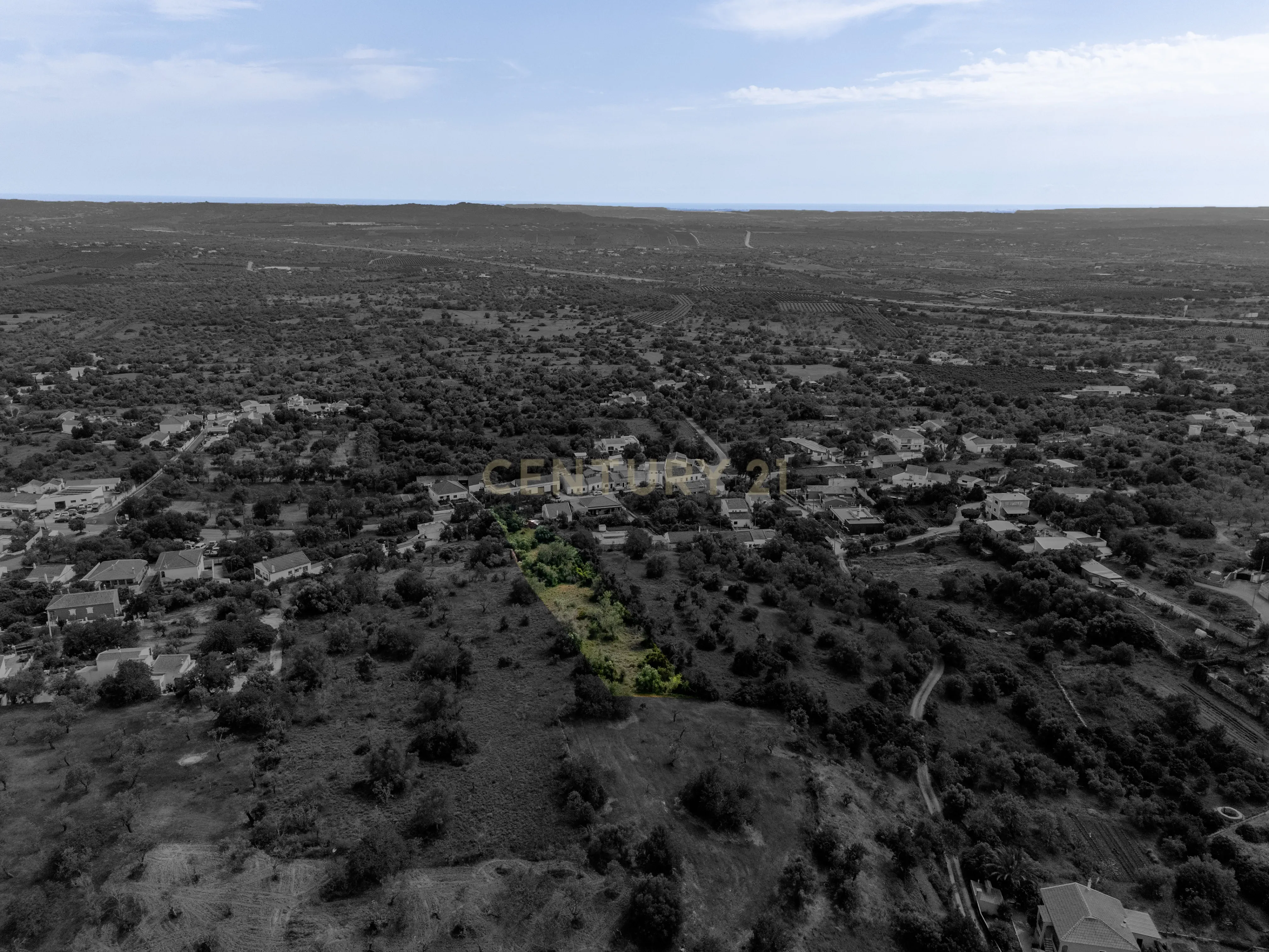 Fotografia 11 de Terreno com Potencial para 3 Moradias | 2.680 m² | São Bartolomeu de Messines | Silves