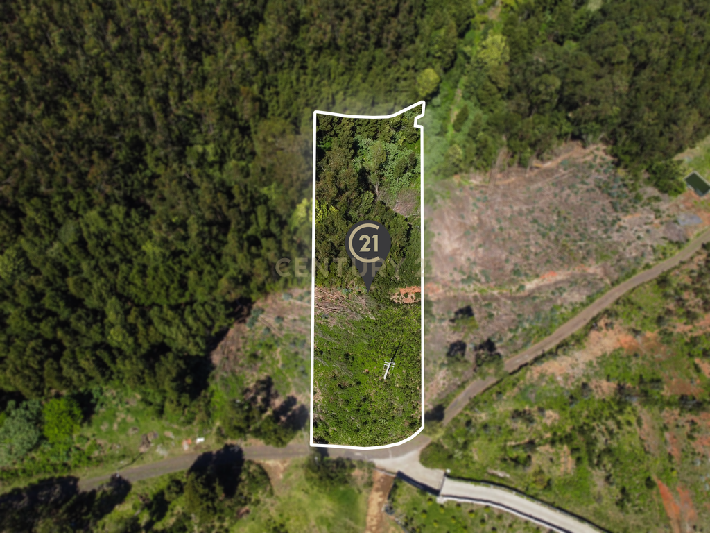 Terreno com Vista Mar e Viabilidade de Construção para Habitação Própria em Gaula - Image 1