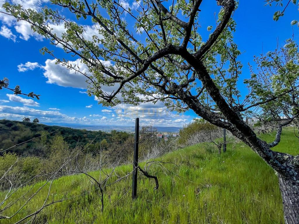 Quinta de Santa Guilha | Tradição, Natureza e Charme em Gouveia - Image 3