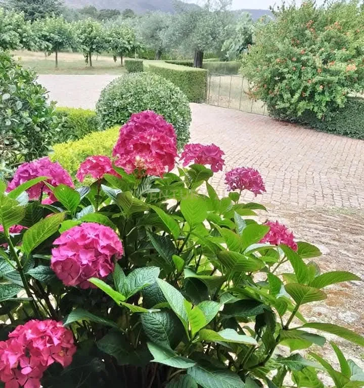Quinta do Ervedal – 15,7 hectares de História e Beleza Natural em Castelo Novo - Image 40