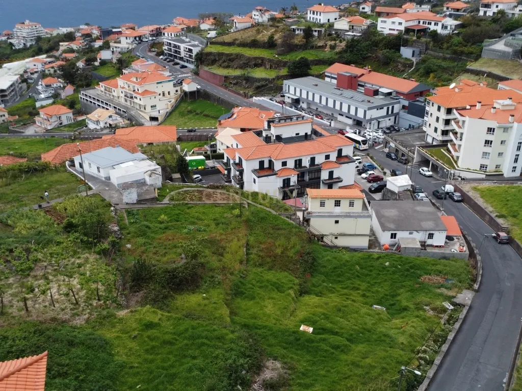 Terreno - Calheta - Image 5