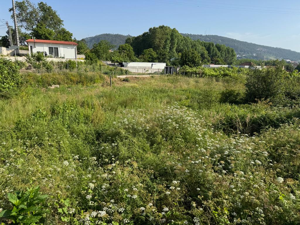 TERRENO PARA CONSTRUÇÃO | BALTAR | PAREDES | 1240,50 m2 - Image 3