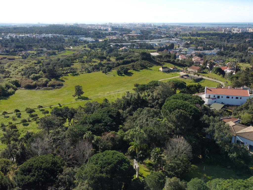 🏡 Terreno para Construção – 2.746 m² | Oportunidade Única Perto de Setúbal! 🌿 - Image 44