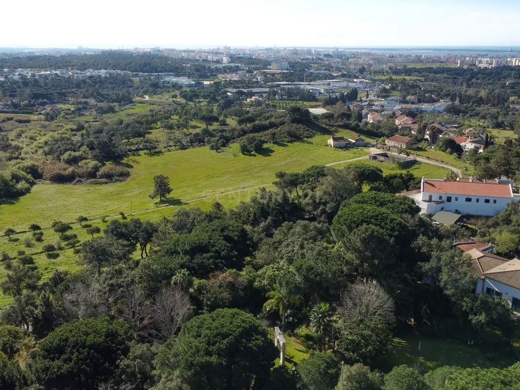 🏡 Terreno para Construção – 2.746 m² | Oportunidade Única Perto de Setúbal! 🌿 - Image 44