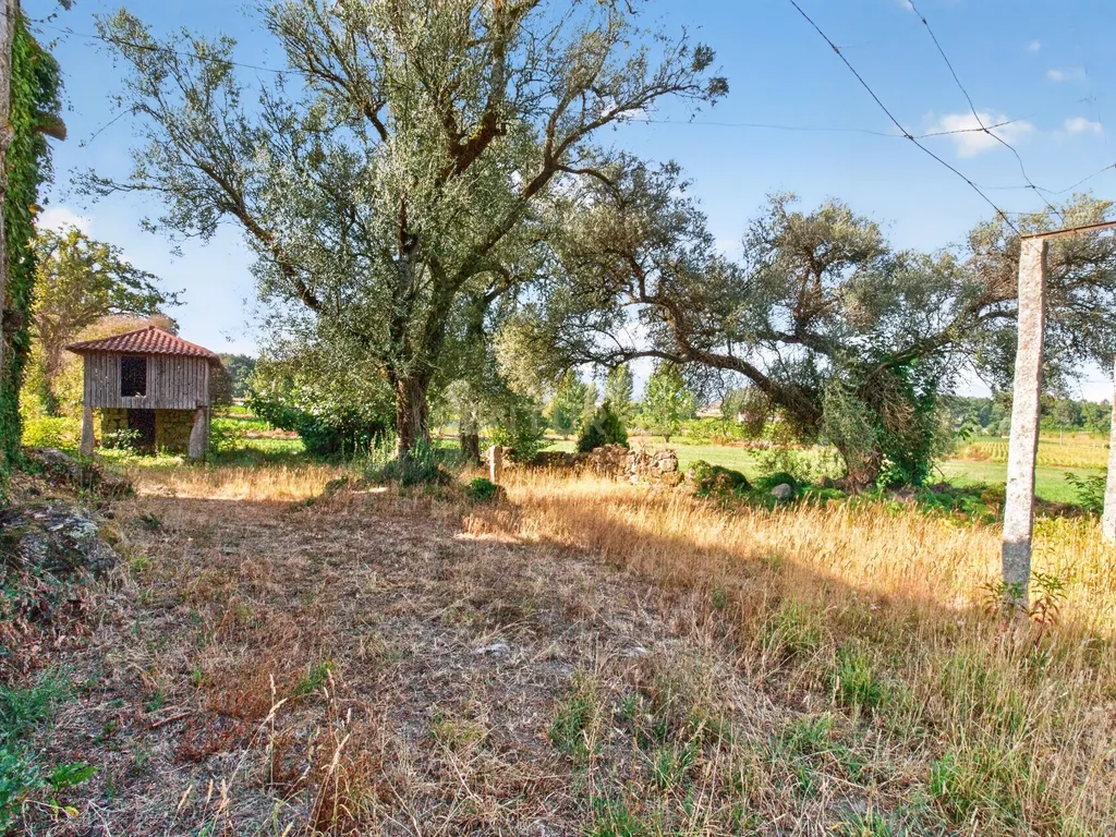 Quinta de Verim – 22.000 m² de história, natureza e potencial - Image 29