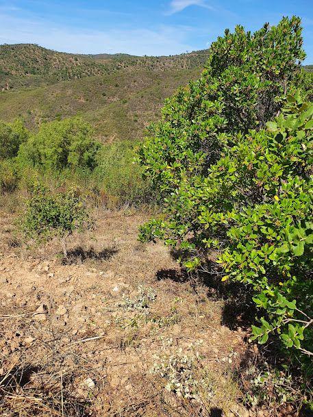 Fotografia 7 de Terreno com Vista para o Rio em Chão Grande - Gonçalo - Guarda