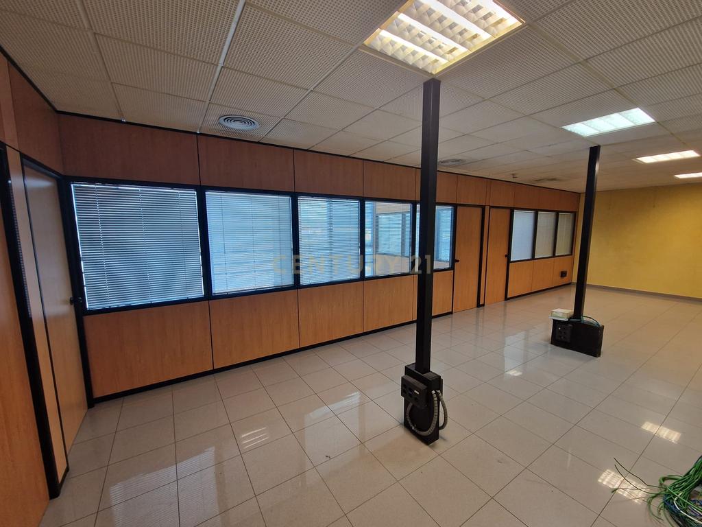  - Image 6