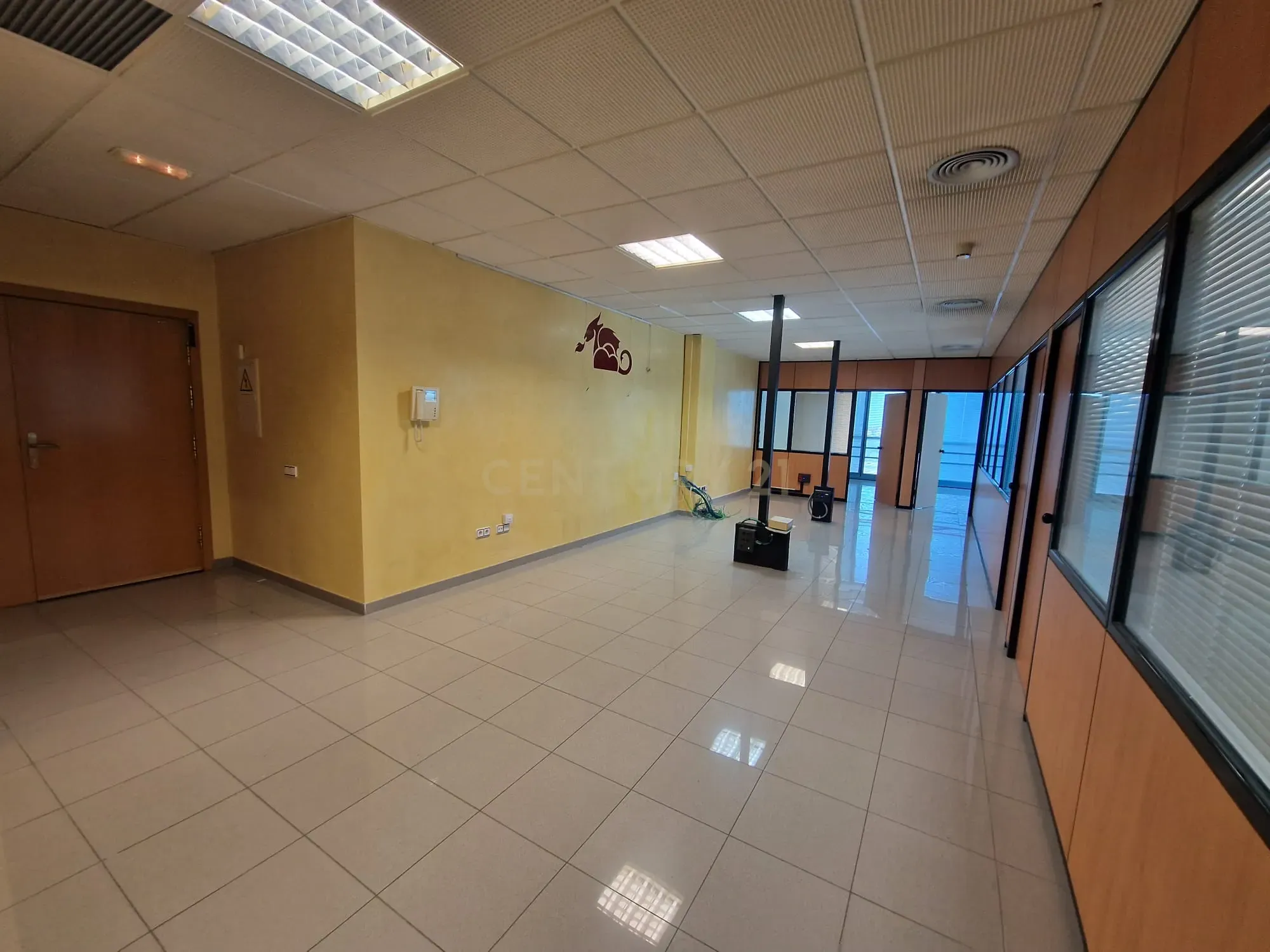  - Image 4