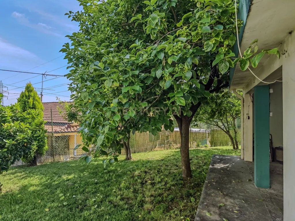 Moradia Bifamiliar T3+T3 em São Pedro da cova – Espaço, Tranquilidade e Conforto - Image 4