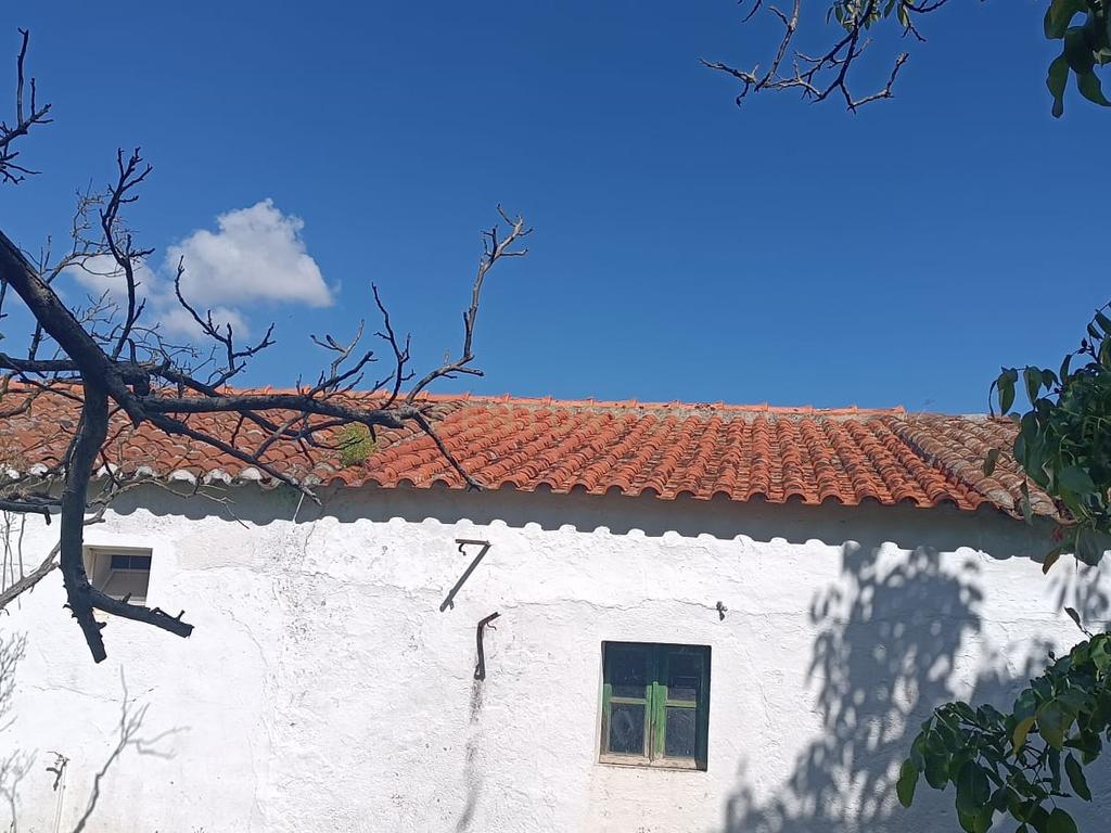 Quintinha em Elvas - Image 10