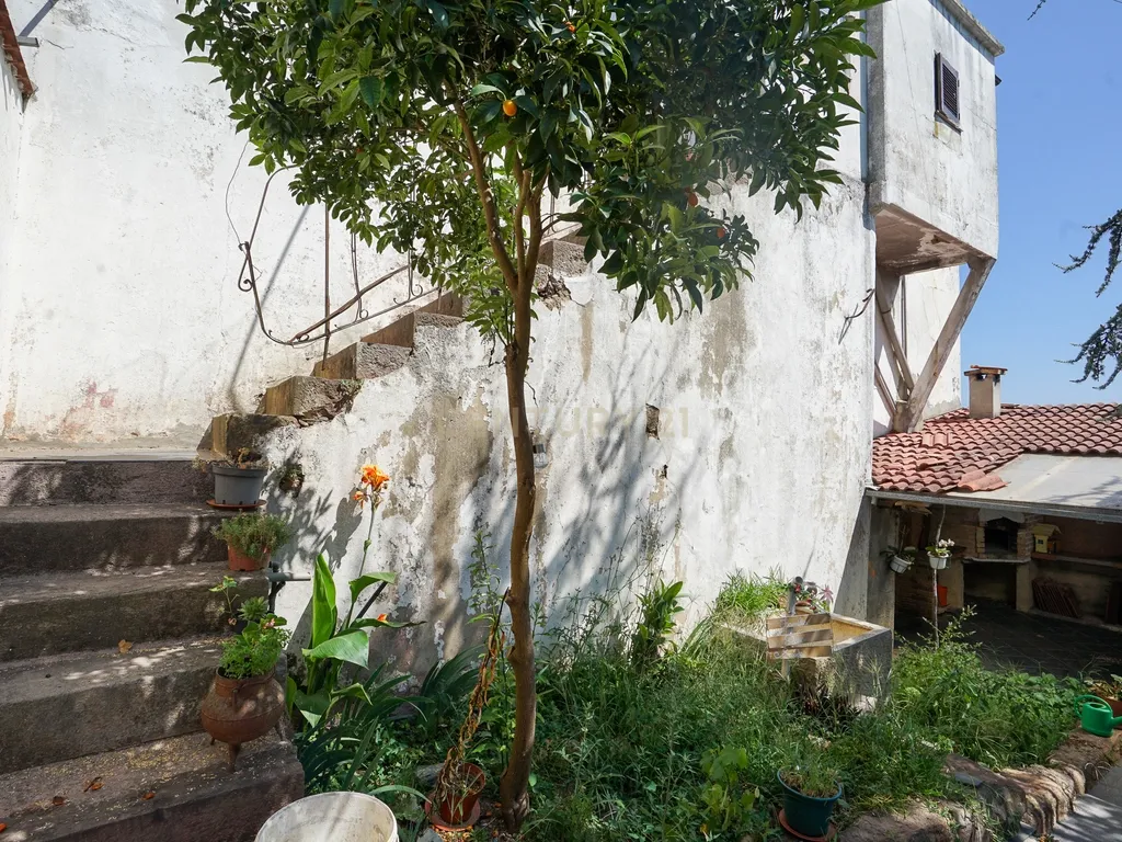 Moradia T3 com pátio e jardim a cinco minutos da praia fluvial de Góis - Image 48