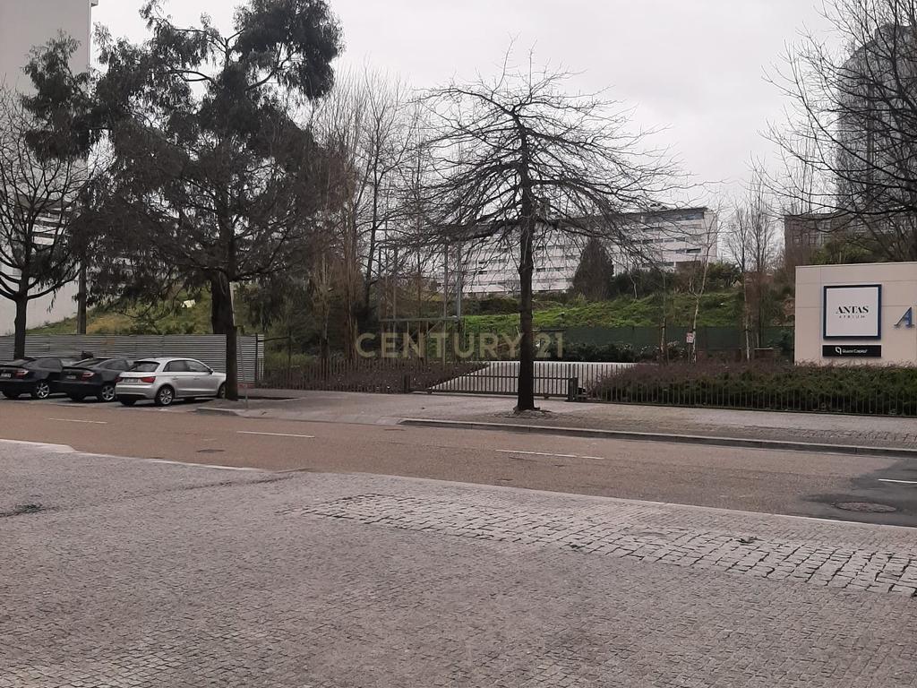 Arrecadação para Arrendamento, Antas, Porto - Image 15