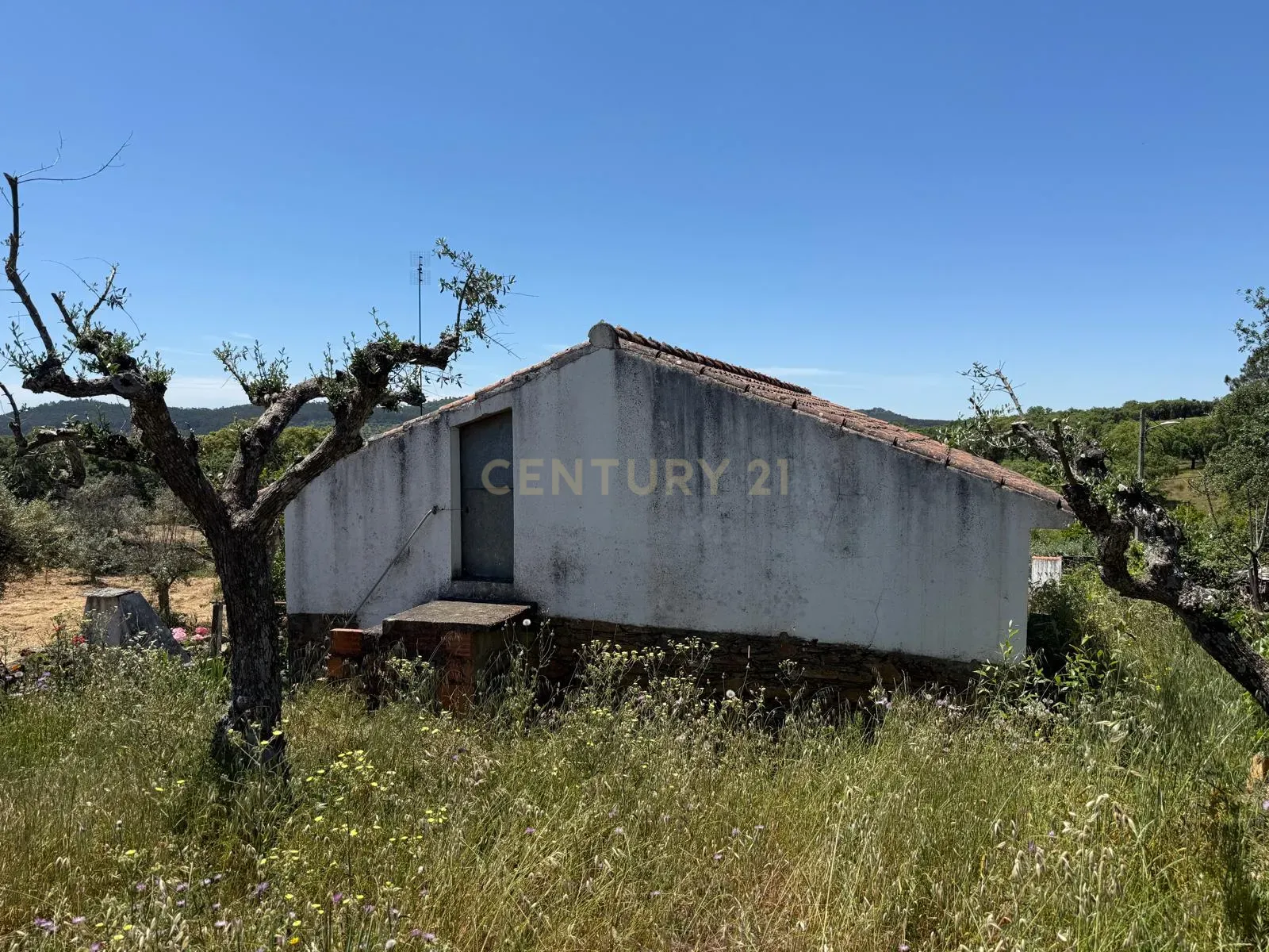 Fotografia 7 de Casa de Campo em Alegrete, Portalegre - Oportunidade Única