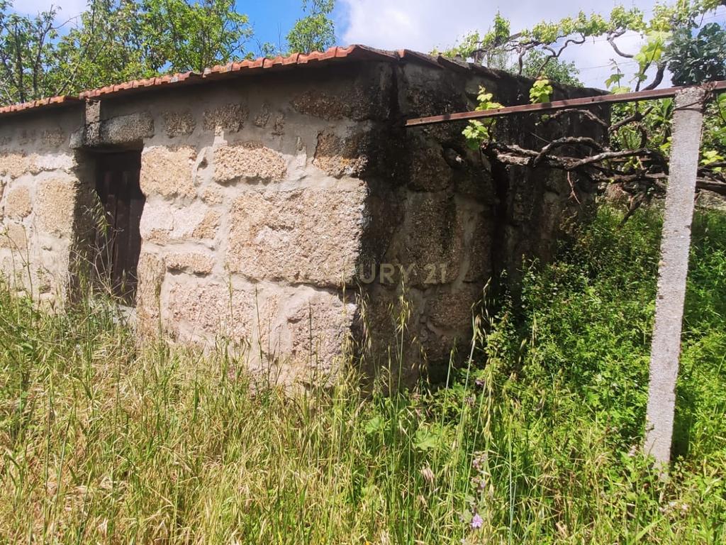 Terreno com casinha e vista para o rio Douro, em S. Tomé de Covelas, Baião para projeto agrícola - Image 89
