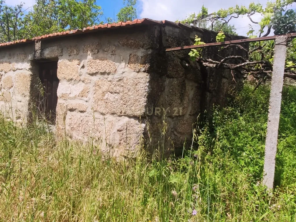 Terreno com casinha e vista para o rio Douro, em S. Tomé de Covelas, Baião para projeto agrícola - Image 89
