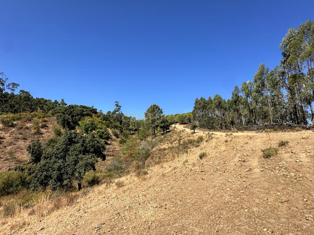 Ruína com Terreno ideal para Habitar ou Investir | São Brás de Alportel - Image 8