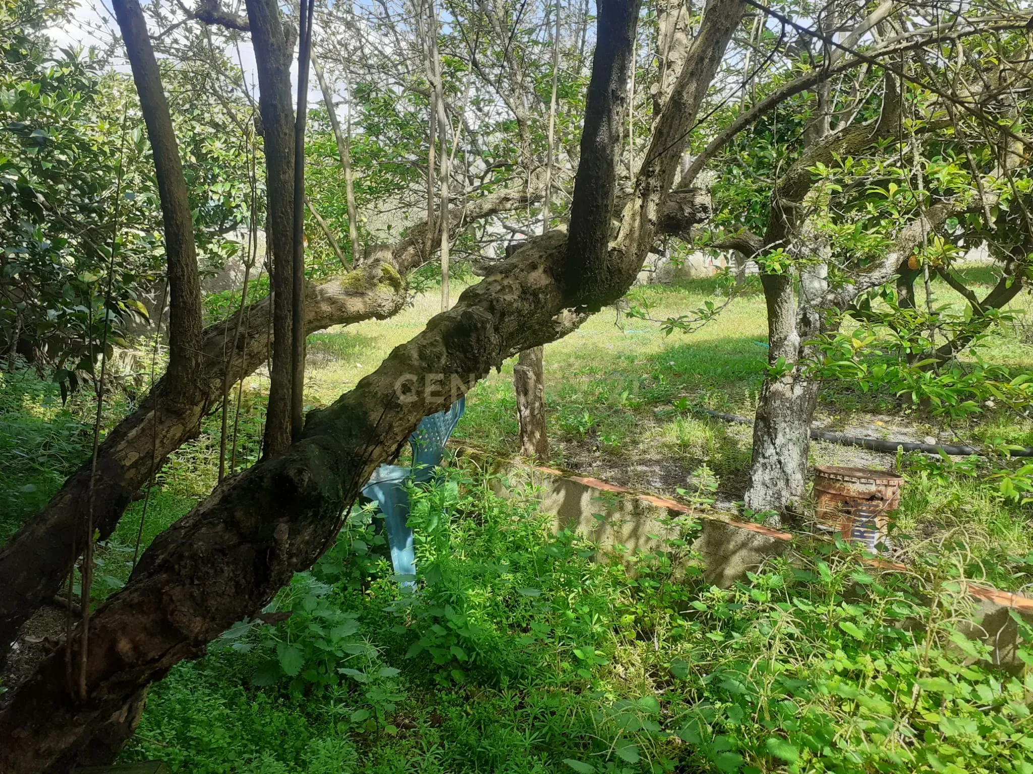Fotografia 12 de Exclusivo | Terreno com Benfeitorias em Santo Isidro de Pegões