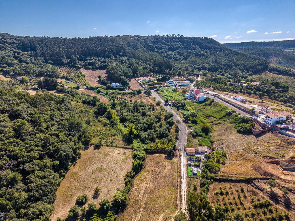 Terreno com riacho, árvores de fruto e PIP aprovado — Carapiteira de Baixo - Image 6