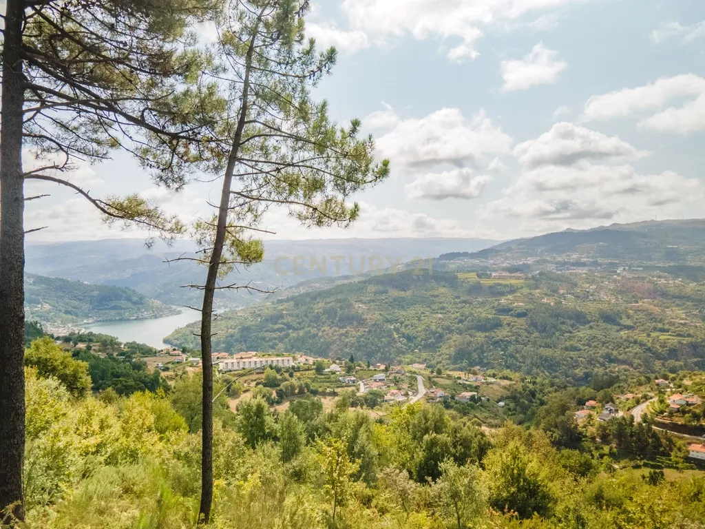 Terreno Rústico com vista para o Rio Douro - Image 1