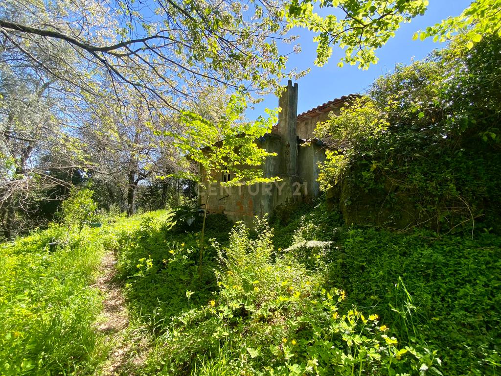 Terreno Ruína Povoa de lanhoso (Negociavel) - Image 27