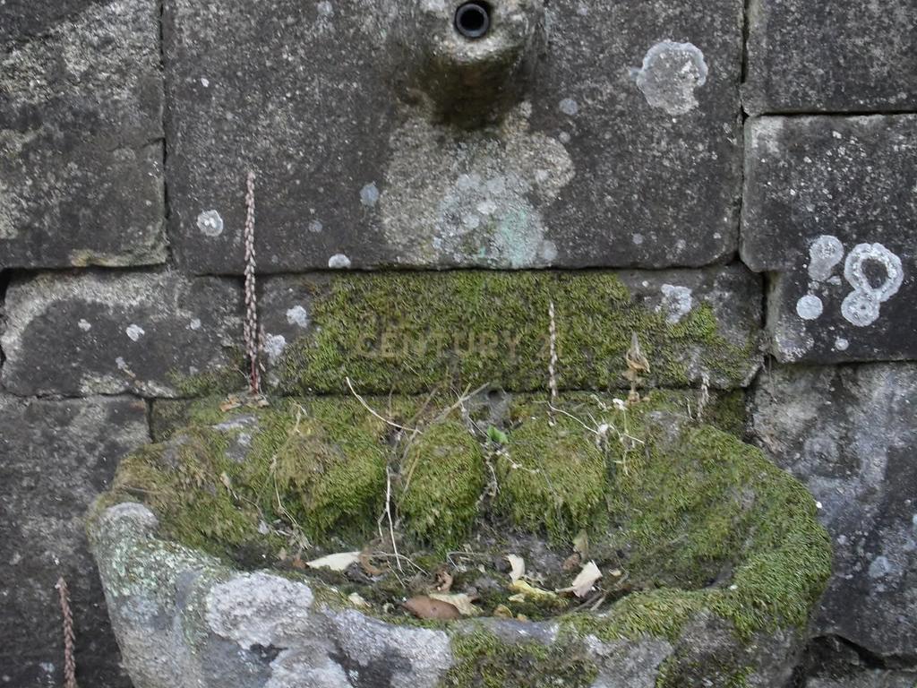 Quinta do Ervedal – 15,7 hectares de História e Beleza Natural em Castelo Novo - Image 51