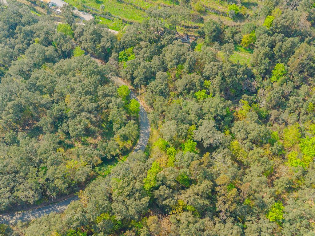 Terreno com magnifica Vista para o Rio Douro em Paços de Gaiolo - Image 4