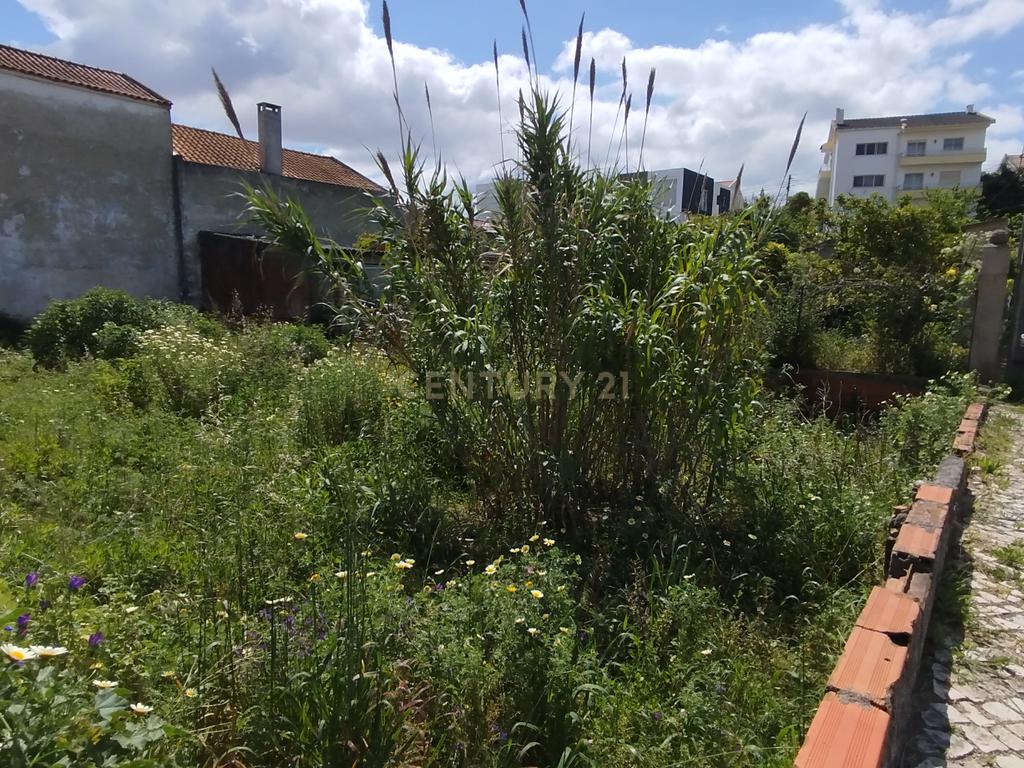 Terreno Urbano com 325m2 – Charneca da Caparica - Image 2