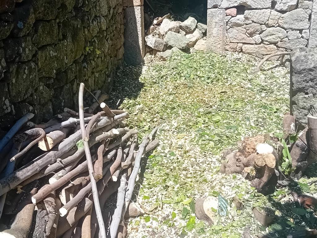Ruina para recuperação, Alcains, Castelo Branco - Image 16