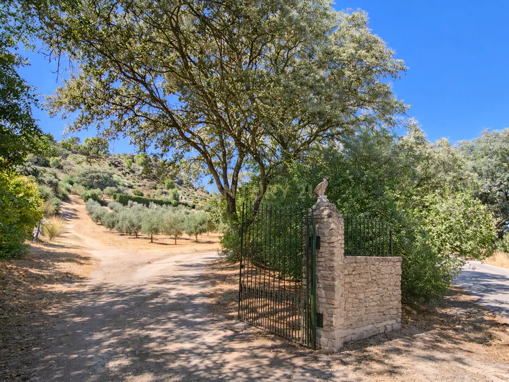 Quinta com vistas panorâmicas em Ronda, piscina privada, olival em produção e casa andaluza · Ideal para investimento em turismo rural - Image 24