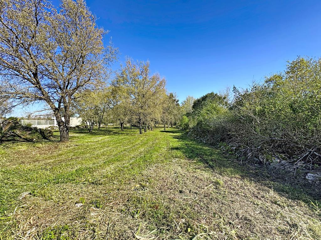 O lugar ideal para construir em plena natureza – Alcobaça - Image 14