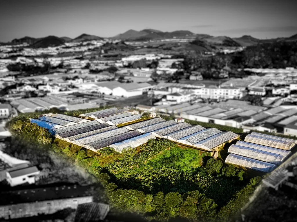 Propriedade Única com Estufas de Ananases e Potencial Urbano — Abelheira de Baixo, São Roque - Açores - Image 15