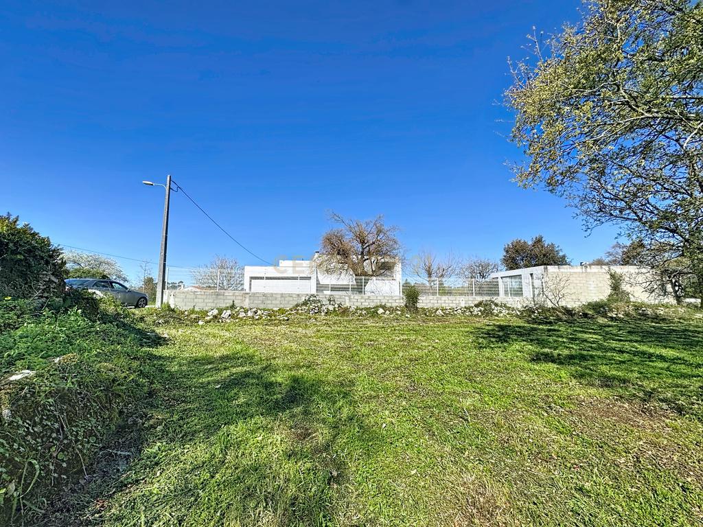 O lugar ideal para construir em plena natureza – Alcobaça - Image 5