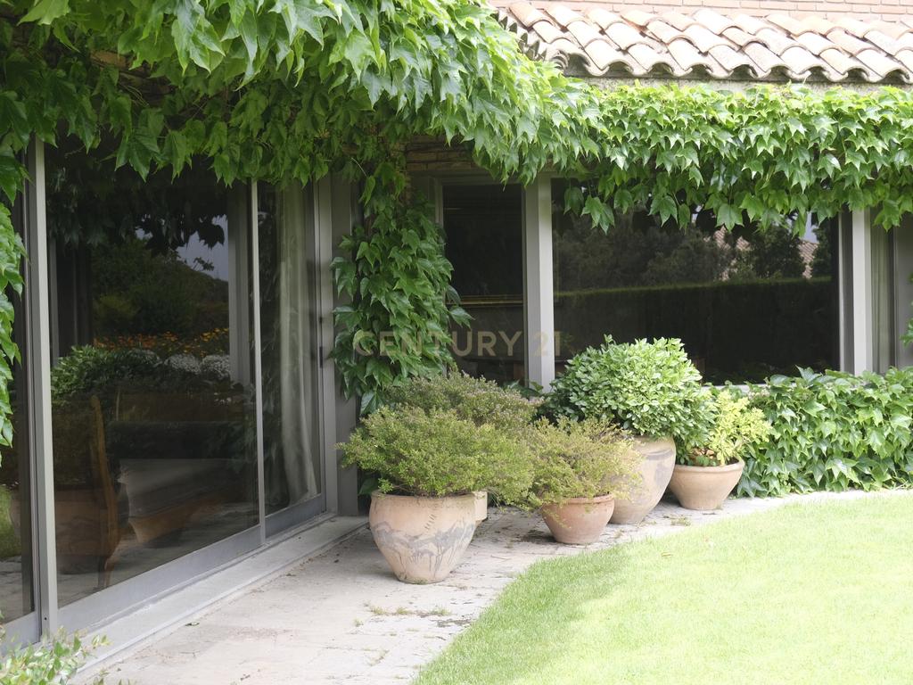  - Image 21