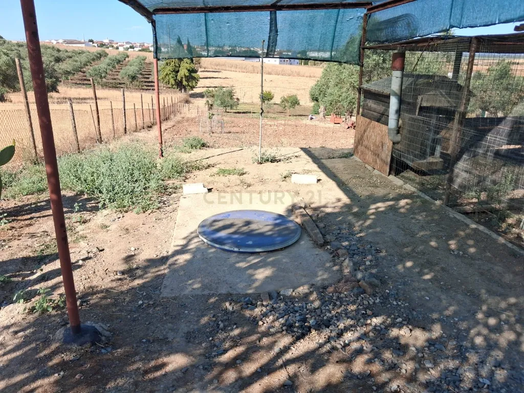 Quinta em Trigaches — 1 hectare em comunhão com a natureza - Image 26