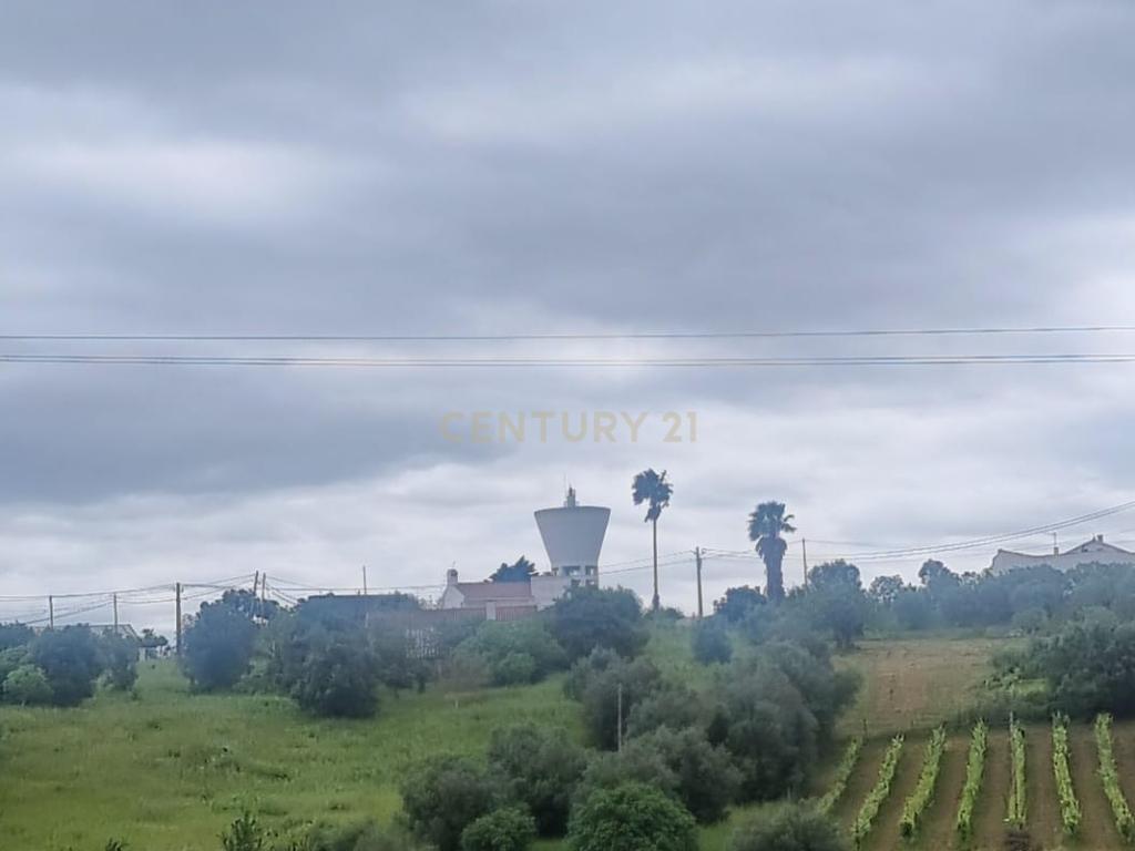 Terreno Urbano à Venda – Brogueira, Torres Novas - Image 7
