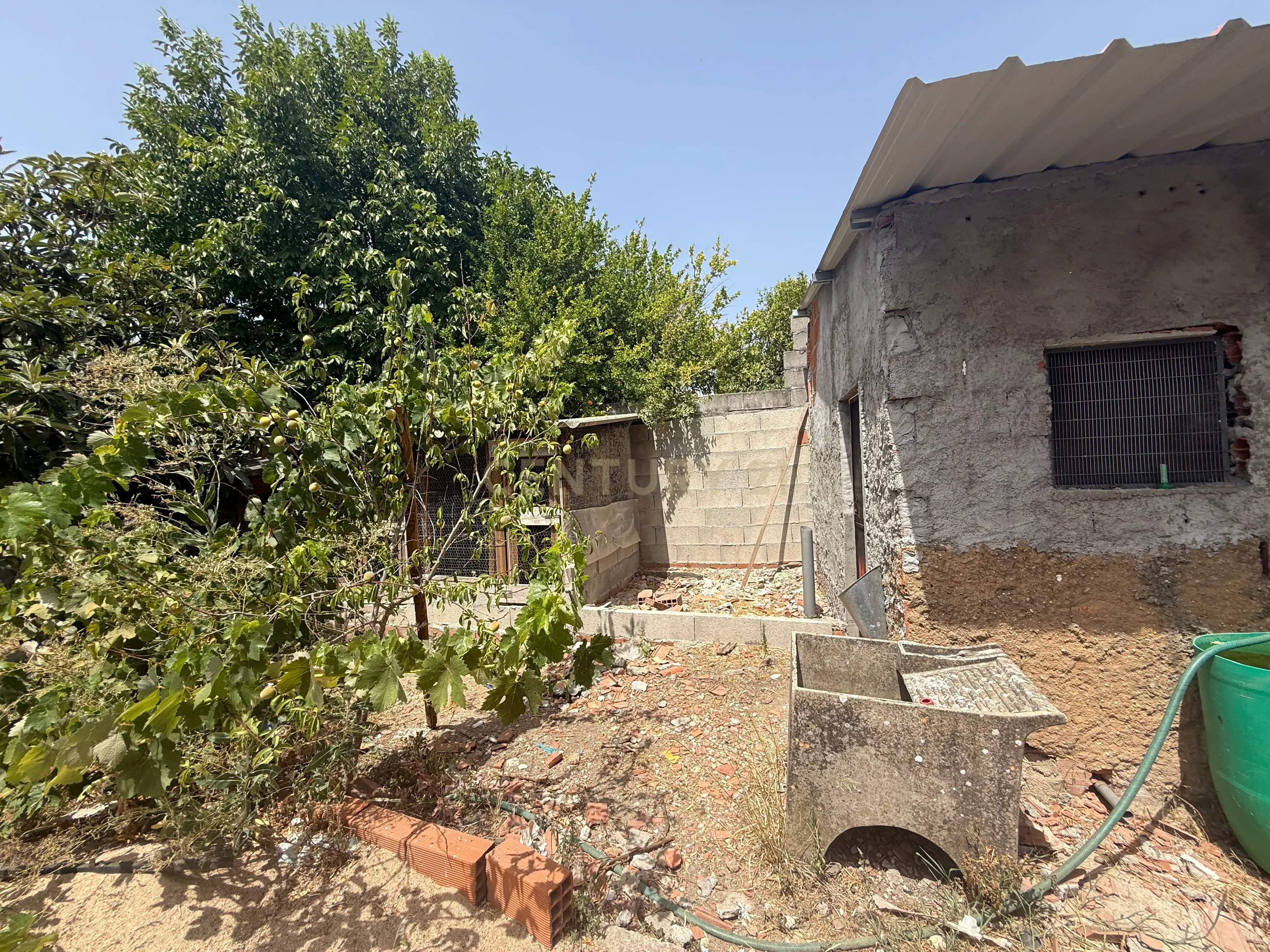 Moradia T1 à venda em Assentiz, Torres Novas — foto 3
