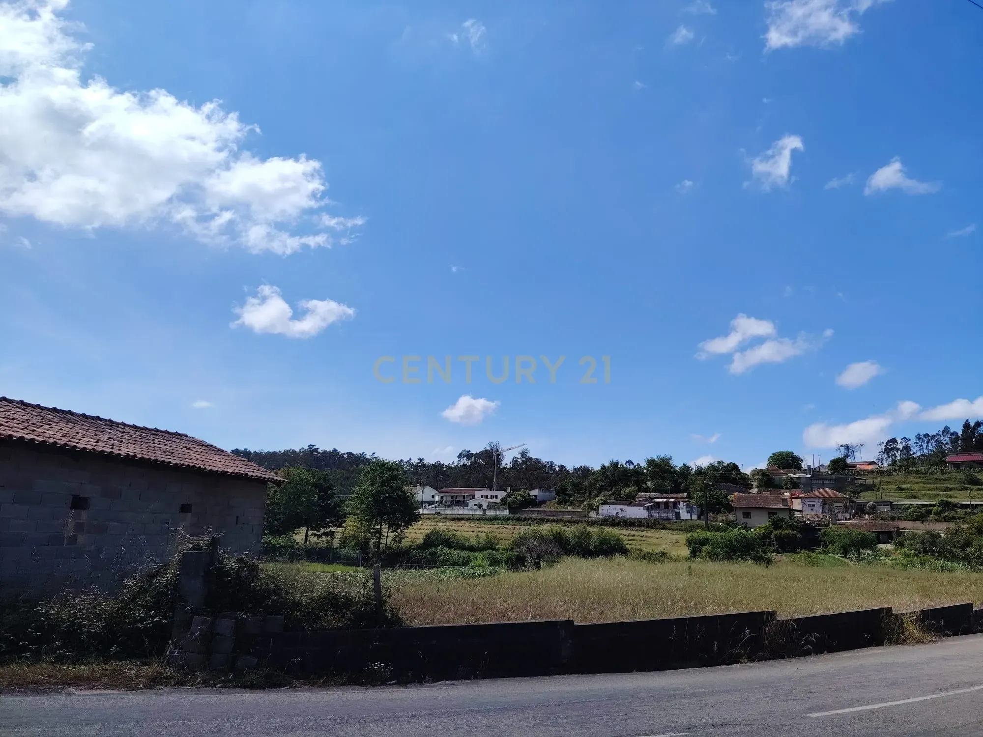 Fotografia 3 de Terreno Urbano em Alquerubim, Albergaria a Velha - 2140m²