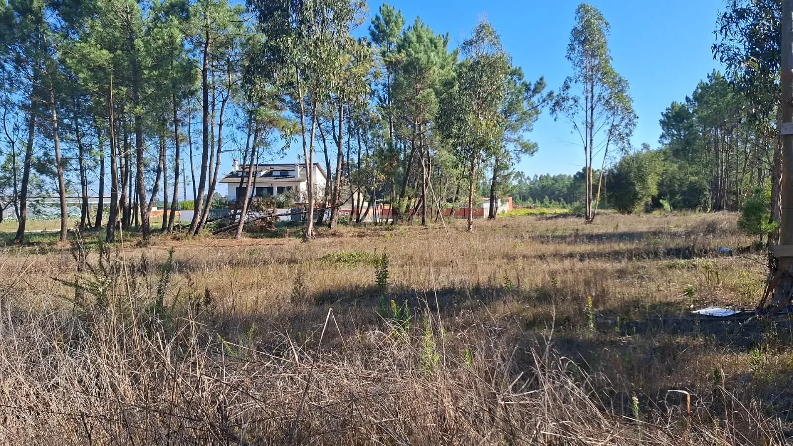 Moradia T3 à venda em Ouca, Vagos — foto 12