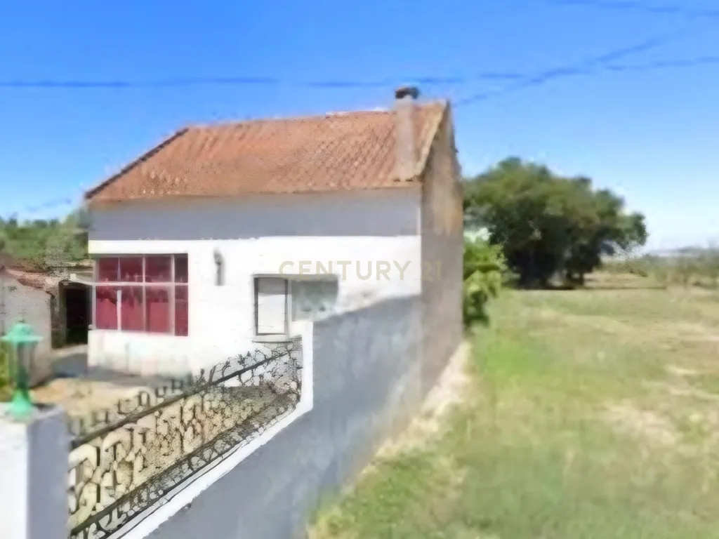 Moradia com Terreno para Venda – Carregueira (Chamusca) , Terreno: 2.120 m² | Moradia com potencial | Árvores de fruto | Água de poço - Image 2