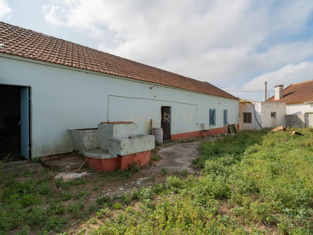 Moradia T3 terrea - Image 2