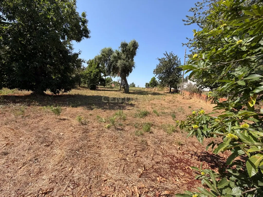 Terreno Urbano em Nossa Senhora do Pranto, Ferreira do Zêzere - Image 1