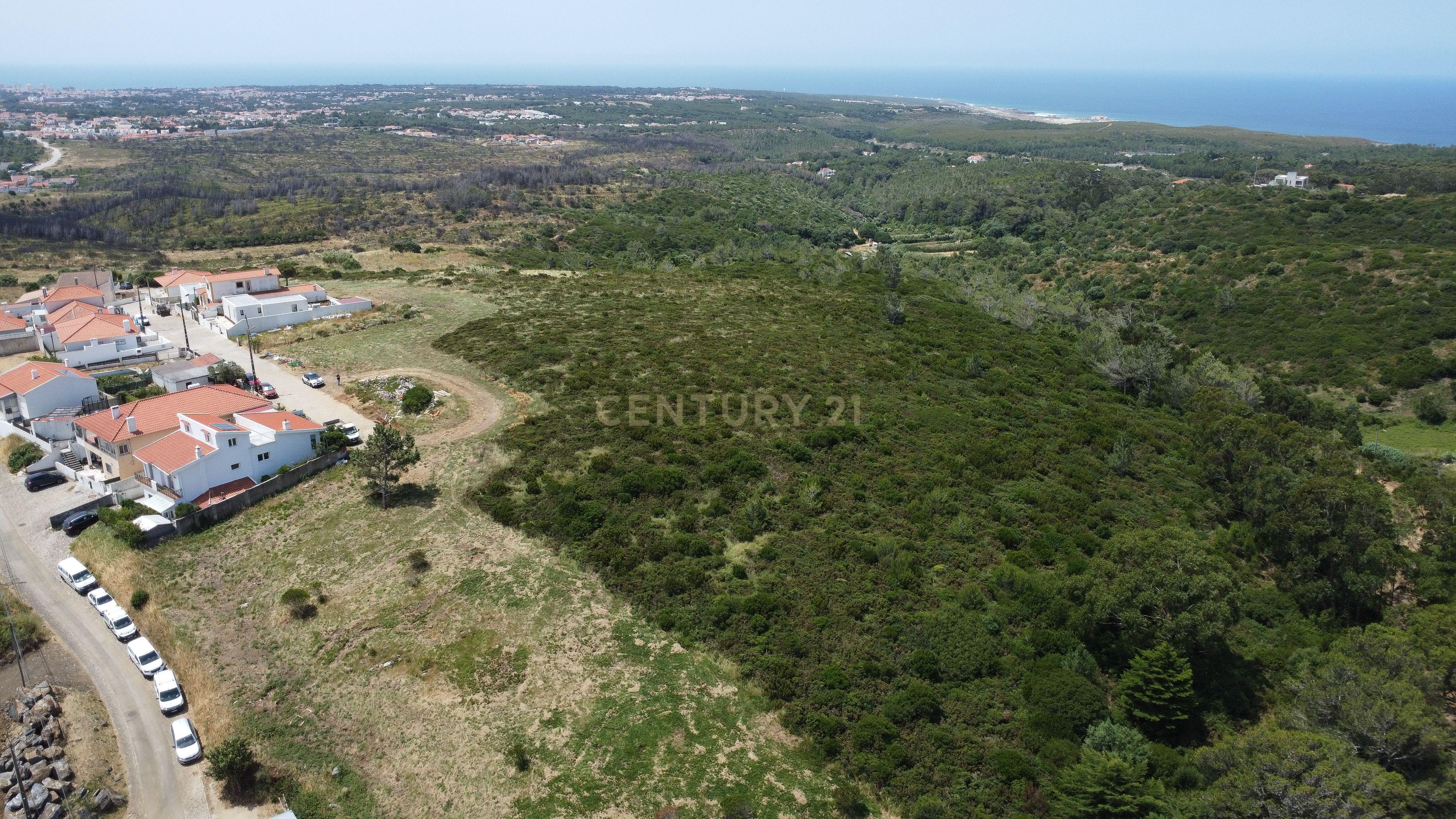 Fotografia 12 de Terreno rústico com 20.920 m2  em Alcabideche, Cascais