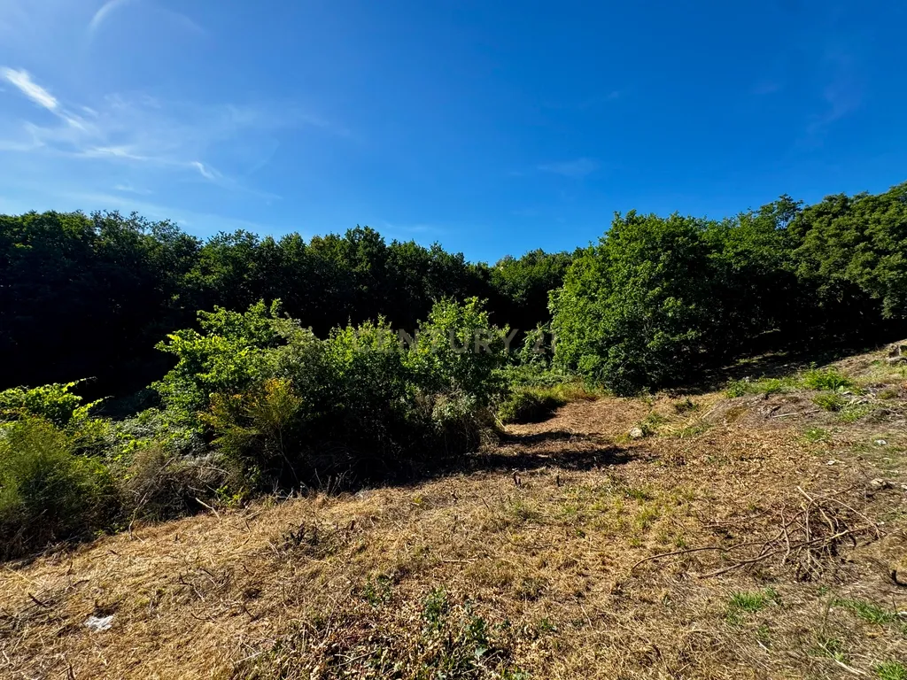 Terreno com 2,6519 hectares, situado em Abragão, Penafiel - Image 13