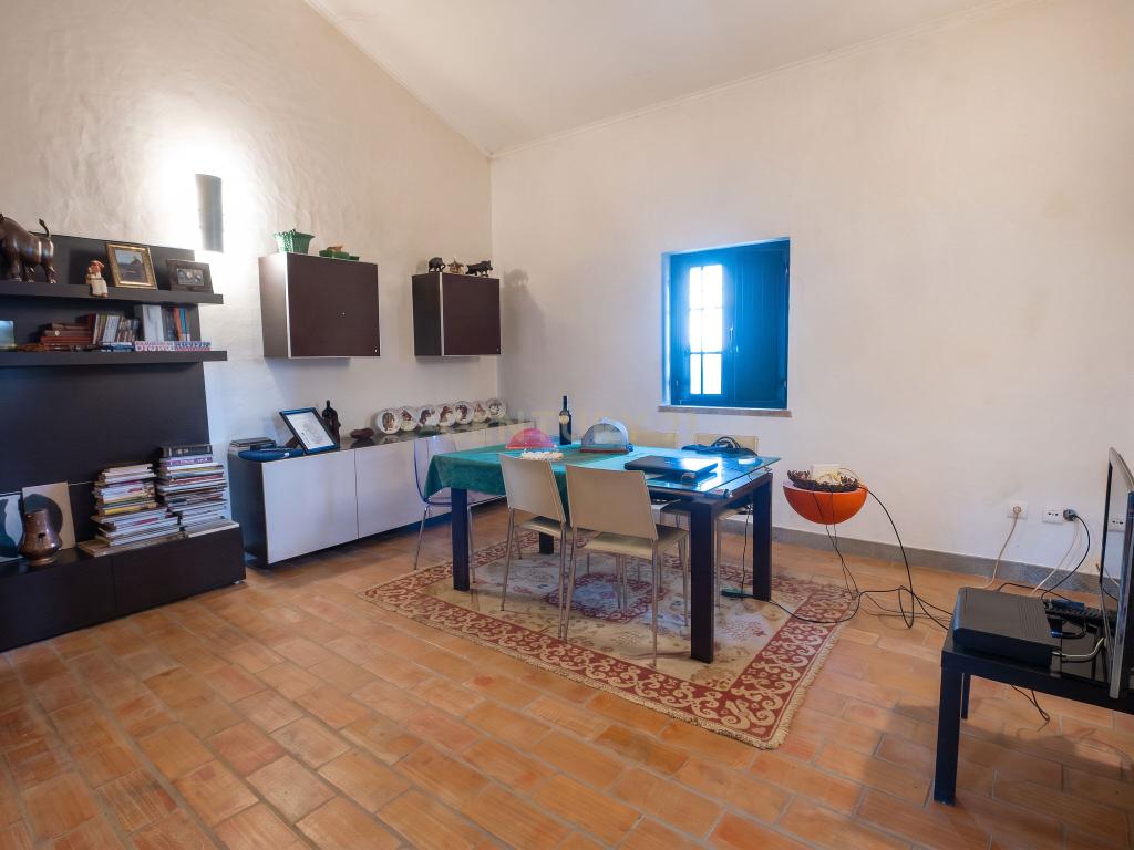 Herdade de 62 Hectares no Coração do Alentejo – Évora - Agricultura - Pecuária - Turismo Rural - Painéis Solares - Image 31