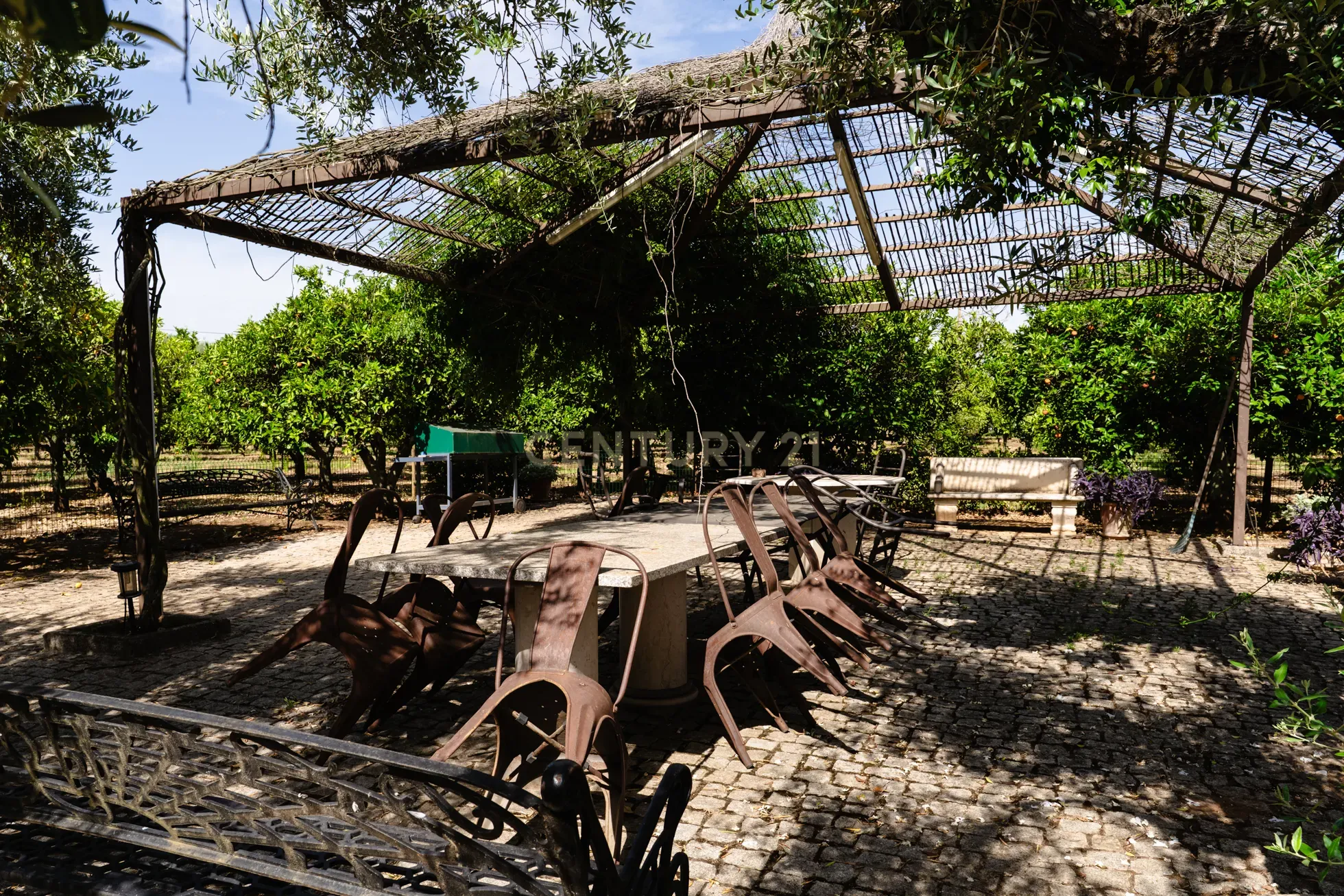 Fotografia 9 de Quinta em  São Brás e São Lourenço