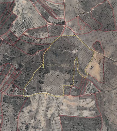 Oportunidade Única: Quinta de 16 Hectares com produção de plantas aromáticas, 2 Ha de rosas DAMASCENA, destilação de óleos essenciais e actividade e-commerce - Image 39