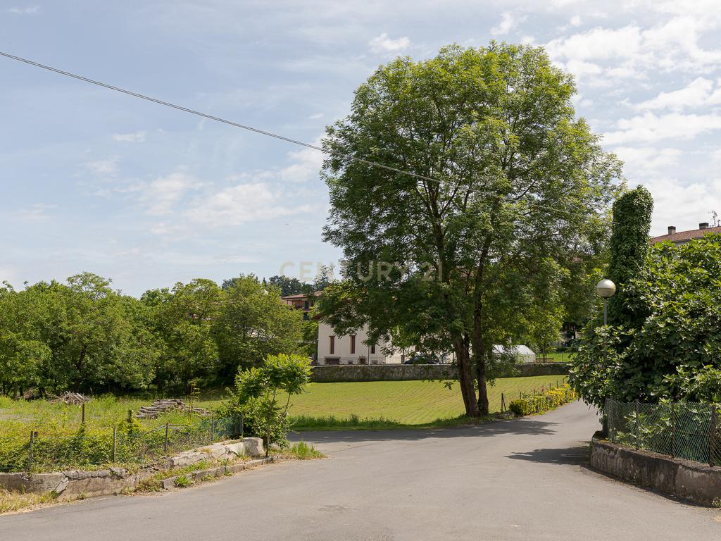 - Image 11
