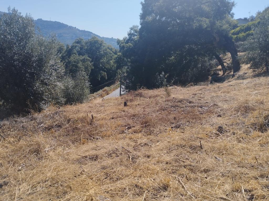 Moradia em ruina repleta de belas histórias, para reconstruir, no coração do Douro em Frende, Baião - Image 56