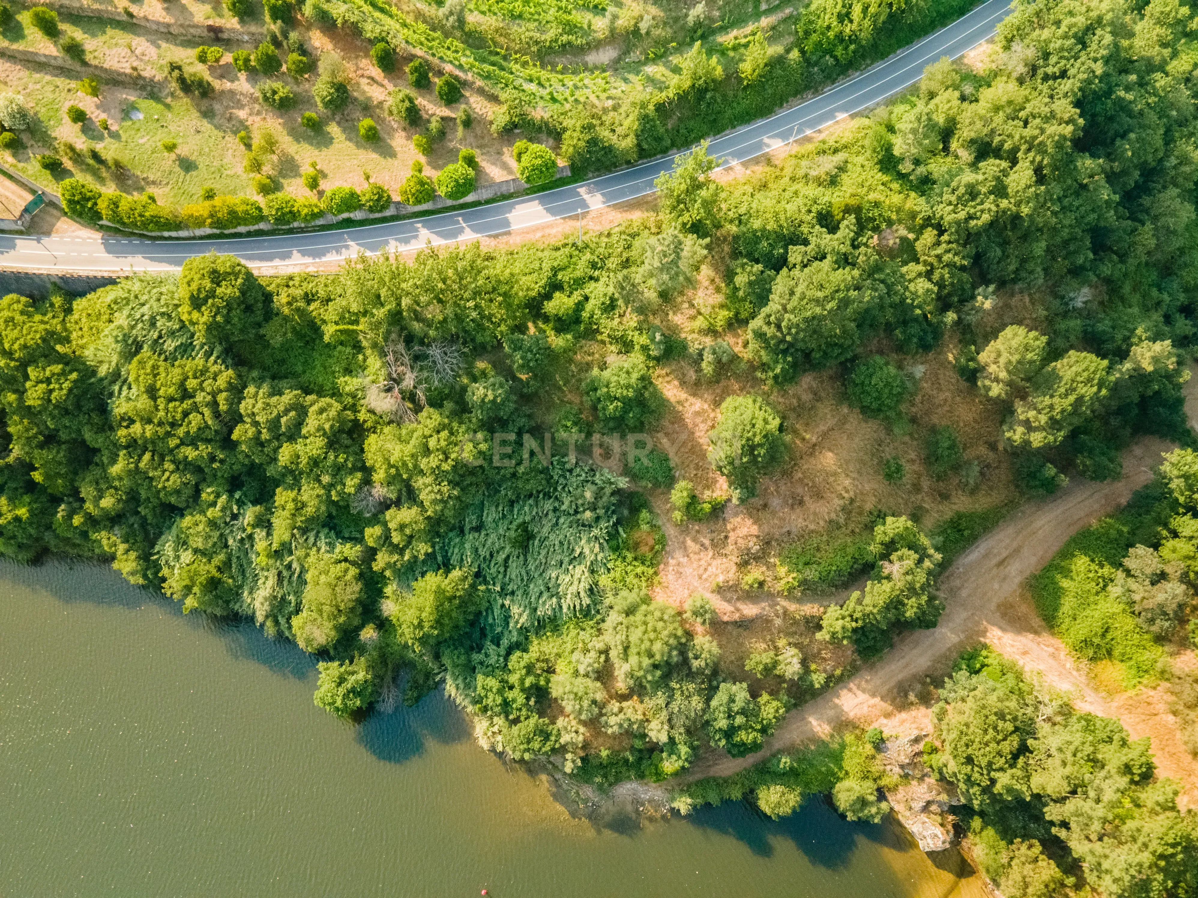 Quinta com Vista Deslumbrante sobre o Rio Douro – Projeto Aprovado para Hotel Rural | Paços de Gaiolo - Image 8